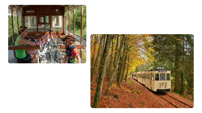 Expériences variées au Tramway Touristique de l'Aisne
