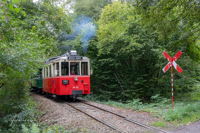 Tram dans la forêt